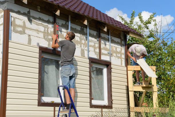 Best Stone Veneer Siding  in Elmwood, IL